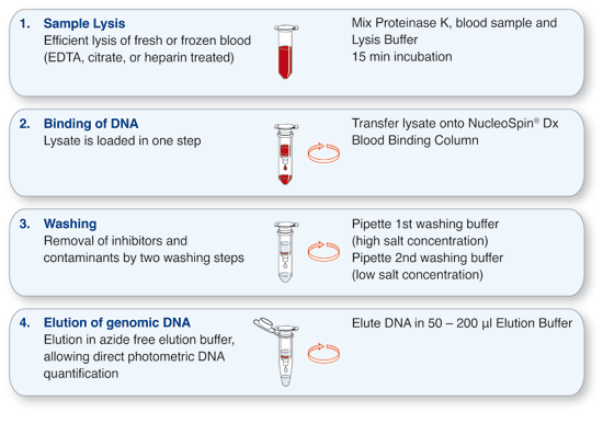 NucleoSpin Dx Blood Procedure